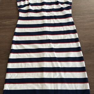 Banana Republic Navy and White Striped Dress